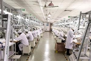 Reusable Cotton Fabric Face Mask