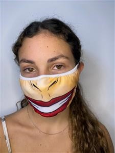 Reusable Face Mask Filter