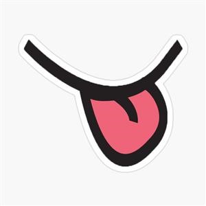 Reusable Face Masks Instructions