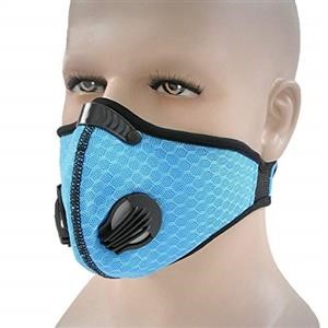 Reusable Face Mask Hamilton