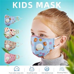 Reusable Mask Face Mask