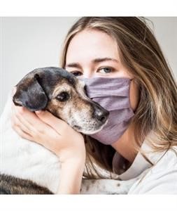 Buy Reusable Face Mask N95