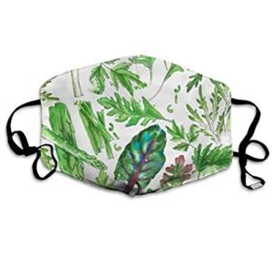 Best Reusable Face Masks for Virus